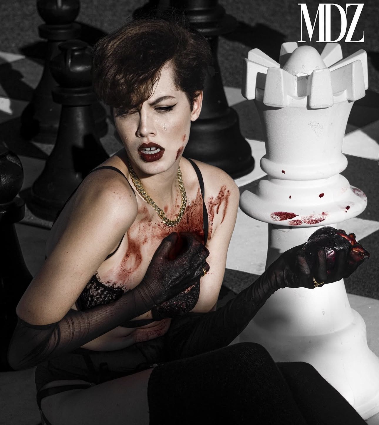 Modelizo chess shoot, close-up beside a white rook