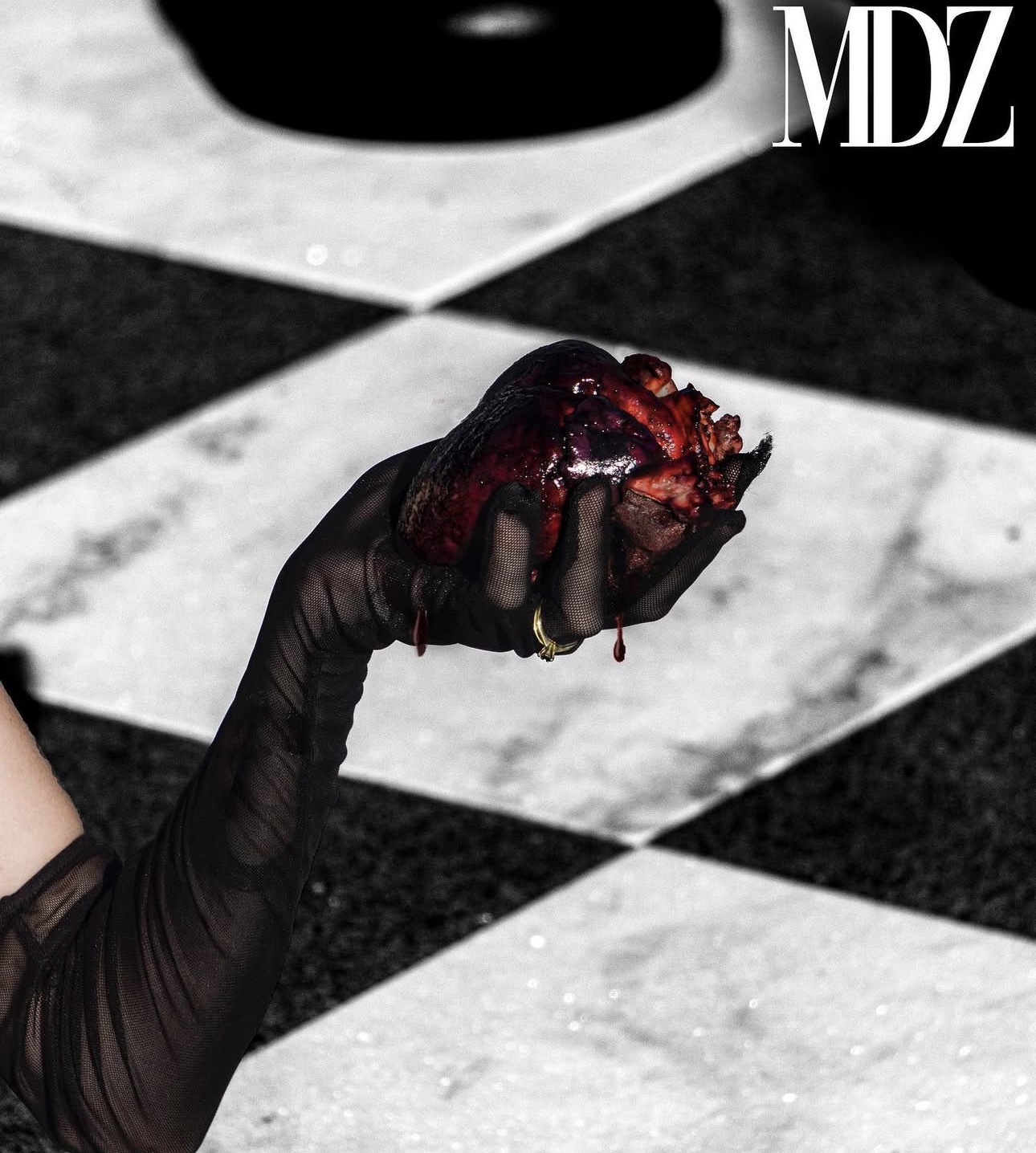 Modelizo chess shoot, gloved hand holding a heart